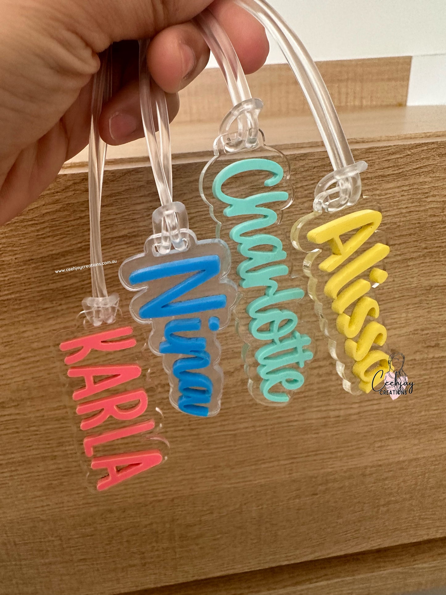 Bag Tags Keychain